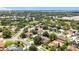 Aerial view features homes surrounded by verdant trees and two ponds, showcasing a nature-filled neighborhood at 238 Hunt St, Clermont, FL 34711