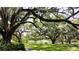 Beautiful park setting on the grounds with mature trees, manicured lawn, and walking trails at 209 Fairway Dr # 209, Longwood, FL 32779