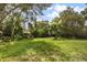 Lush backyard featuring mature trees and foliage, offering a private and serene outdoor space at 575 Lake Mccoy Dr, Apopka, FL 32712