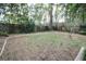 Spacious backyard surrounded by bamboo plants and trees at 230 E Esther St, Orlando, FL 32806