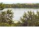 Beautiful view of the lake with lush greenery and trees at 7500 Toscana Blvd # 331, Orlando, FL 32819