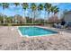 Large community pool surrounded by palm trees and brick pavers, offering a refreshing escape at 14217 Sapphire Bay Cir, Orlando, FL 32828