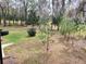 Spacious backyard with mature trees at 19728 Sw 83Rd Place Rd # A-1, Dunnellon, FL 34432