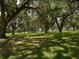 Expansive grassy yard shaded by majestic oak trees with Spanish moss at 3440 Sw 66Th St, Ocala, FL 34476