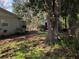 Large backyard with mature trees, shed, and garden at 1105 Ne 45 Pl, Ocala, FL 34479