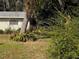 Backyard view showcasing a shed and tropical landscaping at 1105 Ne 45 Pl, Ocala, FL 34479