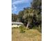 Large side yard with a palm tree and other tropical plants at 1105 Ne 45 Pl, Ocala, FL 34479