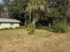 Side yard with tropical plants and mature trees at 1105 Ne 45 Pl, Ocala, FL 34479