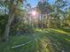 Lush backyard with mature trees creates a serene atmosphere at 9180 Sw 202Nd Avenue Road, Dunnellon, FL 34431