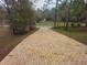 Long brick driveway leading up to a home surrounded by mature trees and greenery at 9180 Sw 202Nd Avenue Road, Dunnellon, FL 34431