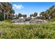 Scenic community water feature with small waterfalls, lush landscaping, and palm trees under a blue sky at 14550 Sw 61St Ct, Ocala, FL 34473