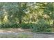 A view of the large backyard, featuring mature trees and a chain link fence at 11696 Sw 71St Cir, Ocala, FL 34476