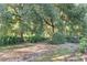 A view of the large backyard, featuring mature trees and a chain link fence at 11696 Sw 71St Cir, Ocala, FL 34476