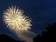 Fireworks display against a night sky with a silhouette of trees in foreground at 9994 Sw 96Th St, Ocala, FL 34481