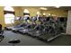 Fitness center featuring treadmills and other cardio equipment at 2398 Nw 50Th Ave, Ocala, FL 34482