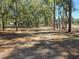 Wooded driveway leads into the property at 3174 Sw 189Th Ave, Dunnellon, FL 34432