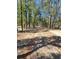A tree-lined driveway stretches far into the property at 3174 Sw 189Th Ave, Dunnellon, FL 34432