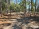 Scenic view of wooded property with a long dirt driveway leading to the residences at 3174 Sw 189Th Ave, Dunnellon, FL 34432