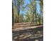 Scenic view of wooded property with a long dirt driveway leading to the residences at 3174 Sw 189Th Ave, Dunnellon, FL 34432