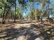 Long wooded driveway leads to residences on the property at 3174 Sw 189Th Ave, Dunnellon, FL 34432