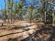 Scenic view of wooded property with a long dirt driveway leading to the residences at 3174 Sw 189Th Ave, Dunnellon, FL 34432