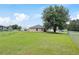 House backyard with green grass and large tree at 4660 Sw 130Th St, Ocala, FL 34473