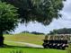 Scenic golf course view with golf carts parked along the green, promising a relaxing day on the links at 17808 Se 115Th Ct, Summerfield, FL 34491
