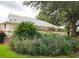 Landscaped yard with mature trees, flowering plants, and blooming purple ground cover at 17808 Se 115Th Ct, Summerfield, FL 34491