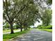 A winding street is lined with large shade trees in this community at 17808 Se 115Th Ct, Summerfield, FL 34491