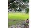 Large backyard with lush grass and distant trees at 2733 Scarborough Dr, Kissimmee, FL 34744