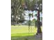 Scenic backyard view with lush green lawn and distant homes at 2733 Scarborough Dr, Kissimmee, FL 34744