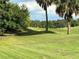 Rolling green fairways and palm trees on a sunny day at 2733 Scarborough Dr, Kissimmee, FL 34744