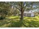 Lush backyard featuring mature trees providing ample shade at 10593 Se 174Th Loop, Summerfield, FL 34491