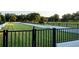 Expansive, manicured backyard with black fencing and lush green grass, perfect for outdoor activities at 17800 Se 237Th Ct, Umatilla, FL 32784