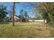 A spacious backyard featuring mature trees and a privacy fence at 4215 Se 24Th Ter, Ocala, FL 34480