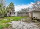 The backyard contains a shed, lots of space, and some mature palms, perfect for privacy and recreation at 34828 1St Ave, Leesburg, FL 34788