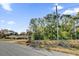 Buildable lot with road frontage and mature trees at Tbd Dogwood Drive Pass # Lot 22, Ocala, FL 34472