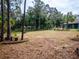 Spacious backyard features mature trees, a pool and landscaping at 12805 Sw 64Th Ln, Ocala, FL 34481