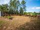 Backyard with wooden fence and palm trees at 12805 Sw 64Th Ln, Ocala, FL 34481