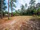 Expansive backyard featuring scattered trees and landscaping at 12805 Sw 64Th Ln, Ocala, FL 34481