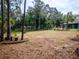 Backyard with a pool and lush landscaping at 12805 Sw 64Th Ln, Ocala, FL 34481