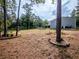 Large backyard with lush pine straw, mature trees, and a glimpse of a pool at 12805 Sw 64Th Ln, Ocala, FL 34481