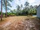 Expansive backyard featuring scattered trees, landscaping and a partial view of the pool at 12805 Sw 64Th Ln, Ocala, FL 34481