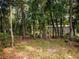 Wooded area behind the property at 12805 Sw 64Th Ln, Ocala, FL 34481