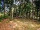Wooded lot with mature trees offers privacy at 12805 Sw 64Th Ln, Ocala, FL 34481