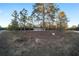 View of a single-story home with a gravel driveway, surrounded by tall pine trees and a blue sky at 11837 Se 165 Ave, Ocklawaha, FL 32179