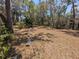 Large backyard area perfect for outdoor activities and relaxing in a quiet setting at 14830 Se 61St Street Rd, Ocklawaha, FL 32179