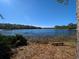 Beautiful lake view surrounded by lush forestry at 14830 Se 61St Street Rd, Ocklawaha, FL 32179