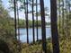Picturesque lake view through the trees, offering a serene and natural setting at 14830 Se 61St Street Rd, Ocklawaha, FL 32179
