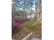 Pathway leading to lake with lush landscaping featuring vibrant pink flowers and tall trees, creating an inviting entrance at 14830 Se 61St Street Rd, Ocklawaha, FL 32179